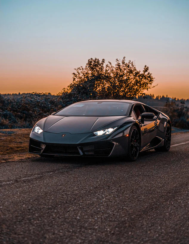 Automotive electronics support