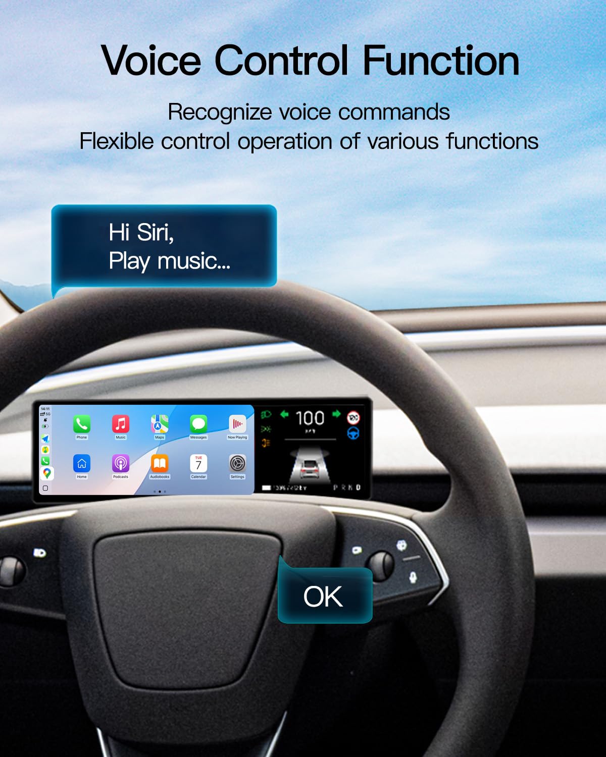 Portable Smart LCD Display for Model 3 & Model Y