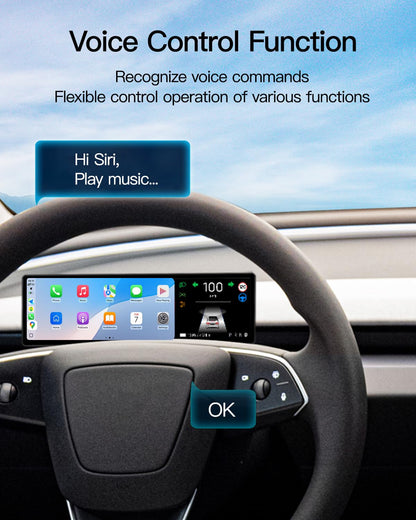 Portable Smart LCD Display for Model 3 & Model Y